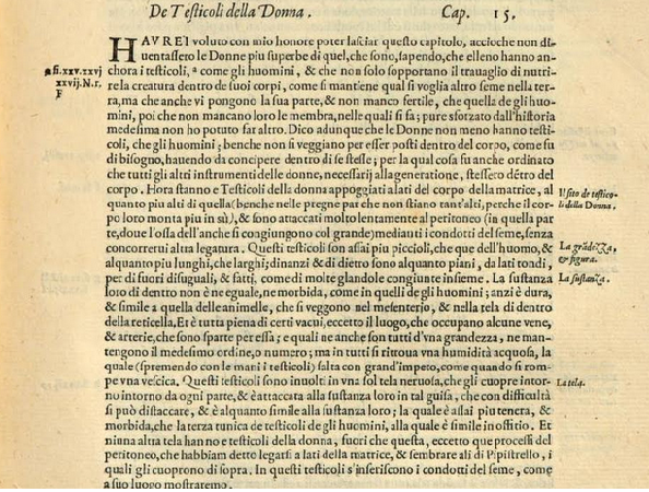 ANATOMIA: I TESTICOLI DELLA DONNA (G. VALVERDE, 1560) - 644.2 Kb